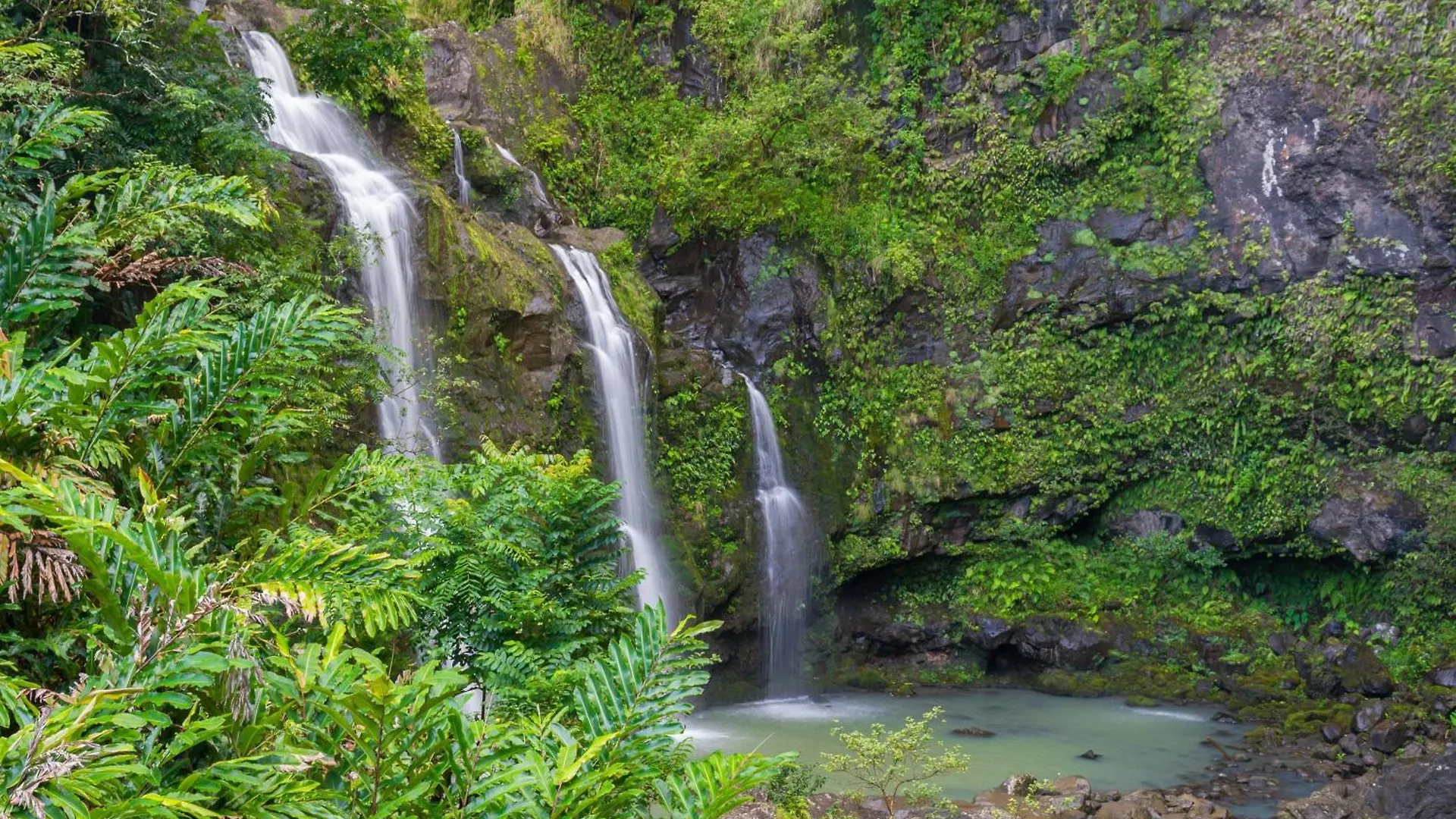 Holiday home Maui Kai 108 Villa Kahana United States